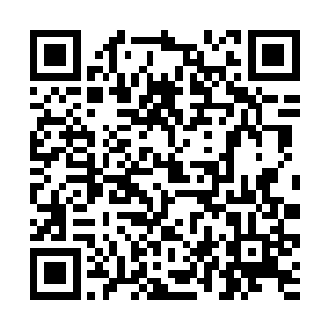 因为山里似乎还没有那个人可以一个人击杀一头熊的二维码生成