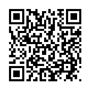 因为已经布满了萧晨浑身上下的所有目标二维码生成