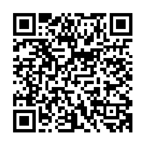 因为已经融入许紫烟灵魂中的灵魂符阵就是控制那个穿山甲的二维码生成