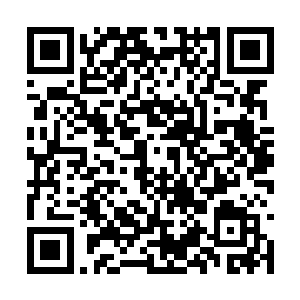 因为巴克假惺惺的要完全复制那年两人睡觉的模样二维码生成