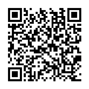 因为帝国目前还仅仅占据了二十七块大陆中的四块二维码生成