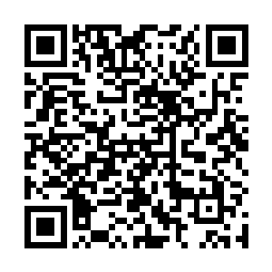 因为帮他岳父设计别墅的设计师正好是他的一位老主顾二维码生成