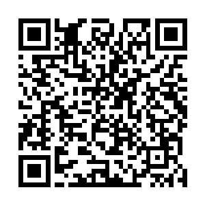 因为应征而来的冒险者只听从蛮荒开拓领的发起者的号令二维码生成