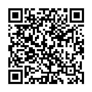 因为张梦雪早已带着一支由二十名精兵组成的水鬼突击队二维码生成