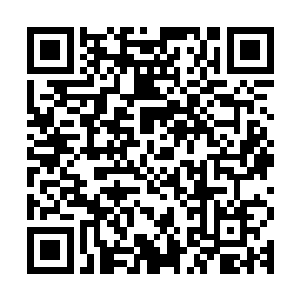 因为张铁冰冷无情的眼光之中已经明确无误的透露出了一个信息二维码生成