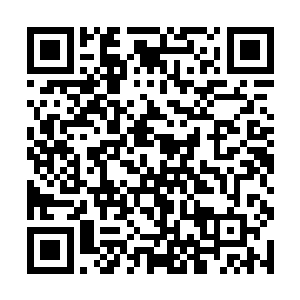 因为当初就是这位墨子期大人亲手设计了真正的皇陵二维码生成