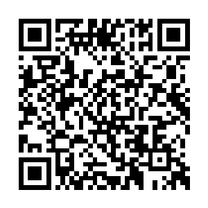 因为当时攀附仲家的确是让他得到了很多的好处二维码生成