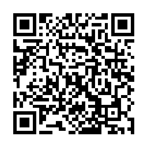 因为很不爽这么愚蠢的人类竟然要这样的利用一个女人二维码生成