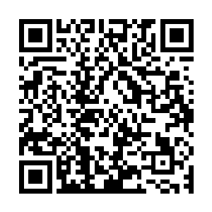 因为很多人都看到了陈长生和徐有容为这场战斗准备了多长时间二维码生成