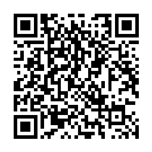 因为心魔只是对于那些心境修炼不够得修真者才会产生作用二维码生成