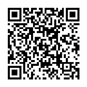 因为总怀疑刘伟突如其来的热情是黄鼠狼给鸡拜年二维码生成