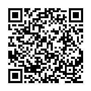 因为意大利这一次在同行的路口架起二十台大炮二维码生成