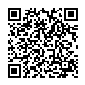 因为感觉到了手下的衙役保甲太过羸弱不堪使用二维码生成