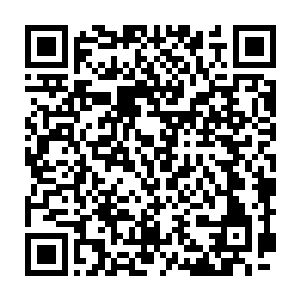因为慕容情在自己的唇碰到她的时候如同被踩到尾巴的小猫咪一般二维码生成