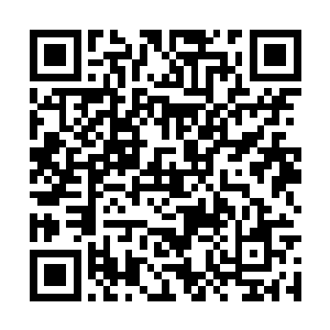 因为我不仅梦到在紫蝶轩的事还梦到我年轻时的事二维码生成
