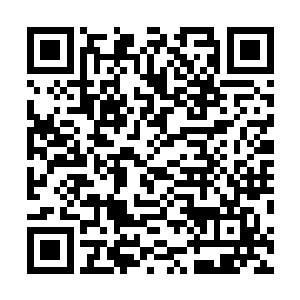 因为我们不知道开启地镇关下的上古遗迹需要多少颗仙丹二维码生成