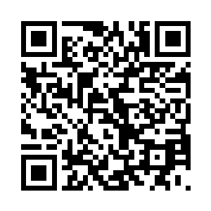因为我们宿舍养着一条狗养狗的人都懂二维码生成