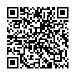 因为我们要对苏先生的童话进行一些深层次的探讨与钻研二维码生成