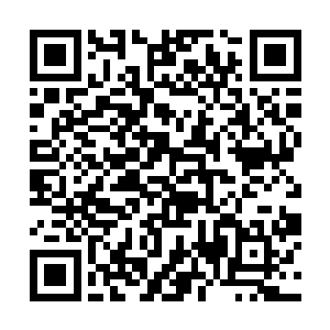 因为我们这一世的幻想世界创造者们也渐渐开始死亡二维码生成