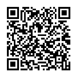 因为我右手隔着衣物按到了一团柔软的馒头状物体二维码生成