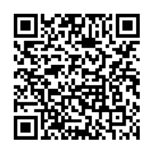 因为我在前几次轮回中已经吞噬了足够多的神魂碎片二维码生成
