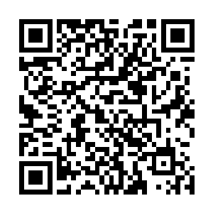 因为我并不会因为脏器的损伤而对整个身体的运作产生影响二维码生成
