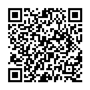 因为我早就知晓了可以最小危险到达山顶的小路二维码生成
