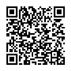 因为我是一名在铁拳会里潜伏了近十年的邪道高手二维码生成