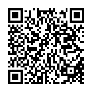 因为我根本没有看到过这一片凶兽生活所在的介绍二维码生成