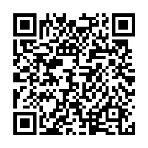 因为我说的话从来不怕被任何人任何时候曝光出去二维码生成