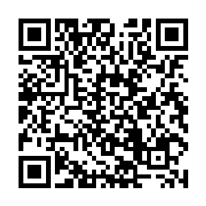 因为我通过一些渠道侧面的表示了弗朗西斯在我手中二维码生成