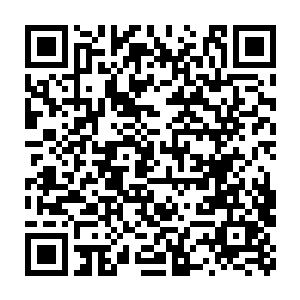 因为战将赢勾留下的那滴精血的爆发才强行的把他推进到中期跳尸二维码生成