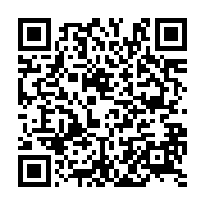 因为所有人的注意力都在赤阳和四周诡异的气息上二维码生成