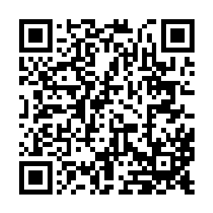 因为执政者的任何一项决策影响的不仅仅是他自己二维码生成