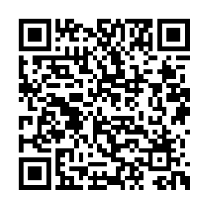 因为拍卖场内那件明显又是偏门类的拍品上台后二维码生成