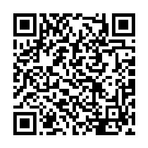 因为据之前的进去的人说过里面的环境充满了禁制二维码生成