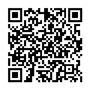 因为探针带出来的不是一般盗墓贼都认可的砖灰二维码生成