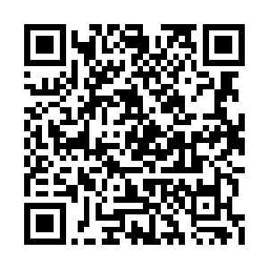 因为斗魔和我们大部分人一样……还有自愈能力二维码生成