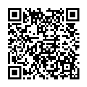 因为新时代的天才们已经快要渐渐的将他们取代了二维码生成