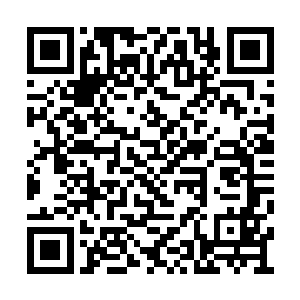 因为明日狄家会举行宴会招待从密地返回的修士二维码生成