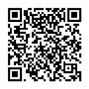 因为易红仙人伸手从袖中取出了一叠阵盘还有布阵材料二维码生成