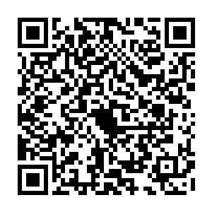 因为昨天收放渔具这活儿一连干了三次对于水手们的体力消耗还是非常之大的二维码生成