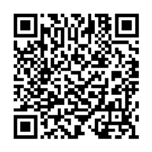 因为晏老太太杖责了跟在自己身边多年的荀嬷嬷二维码生成