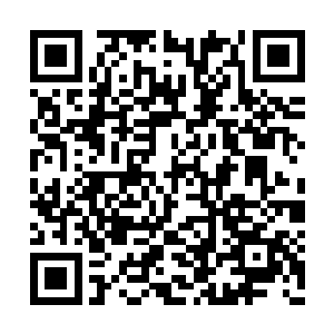 因为曾方平死亡现场的初步勘探结果已经出来了二维码生成