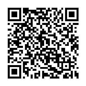 因为最近在地下世界闹得最沸沸扬扬的一件事情二维码生成