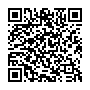 因为有了寒冬刺客这种老怪物级别的人作为指引二维码生成