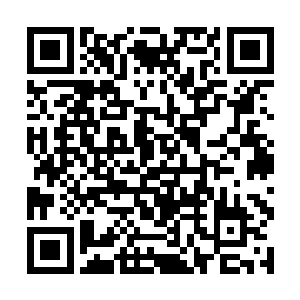 因为有着十二嫡系血脉弟子摆下的十二诸象大阵修炼二维码生成