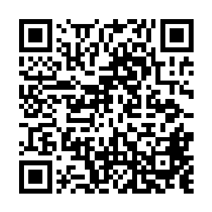 因为本来说呆两天就走的皱纹男和络腮胡突然说不走了二维码生成