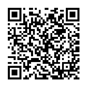 因为杜克为所有演员开出了长达四到五个月的歌舞排练时间二维码生成