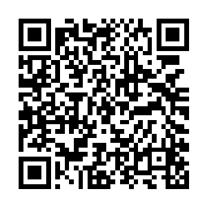 因为杨家绝对不可能因为一件宝物而失去整个家族的二维码生成